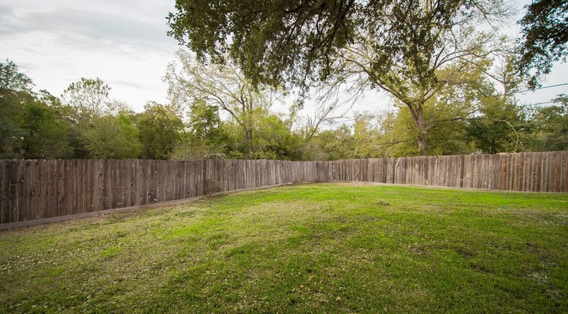 10-Backyard-8077